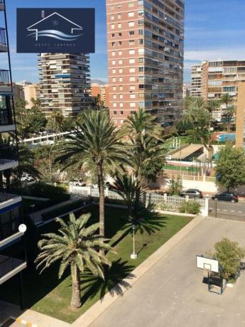 Sprzedaż mieszkania w Piso en Avenida de Niza, Playa de San Juan, Alicante / Alacant, Alicante / Alacant
 photo 4