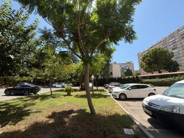 Sale of flat in Piso en Avenida Santander, Playa de San Juan, Alicante / Alacant, Alicante
photo 1