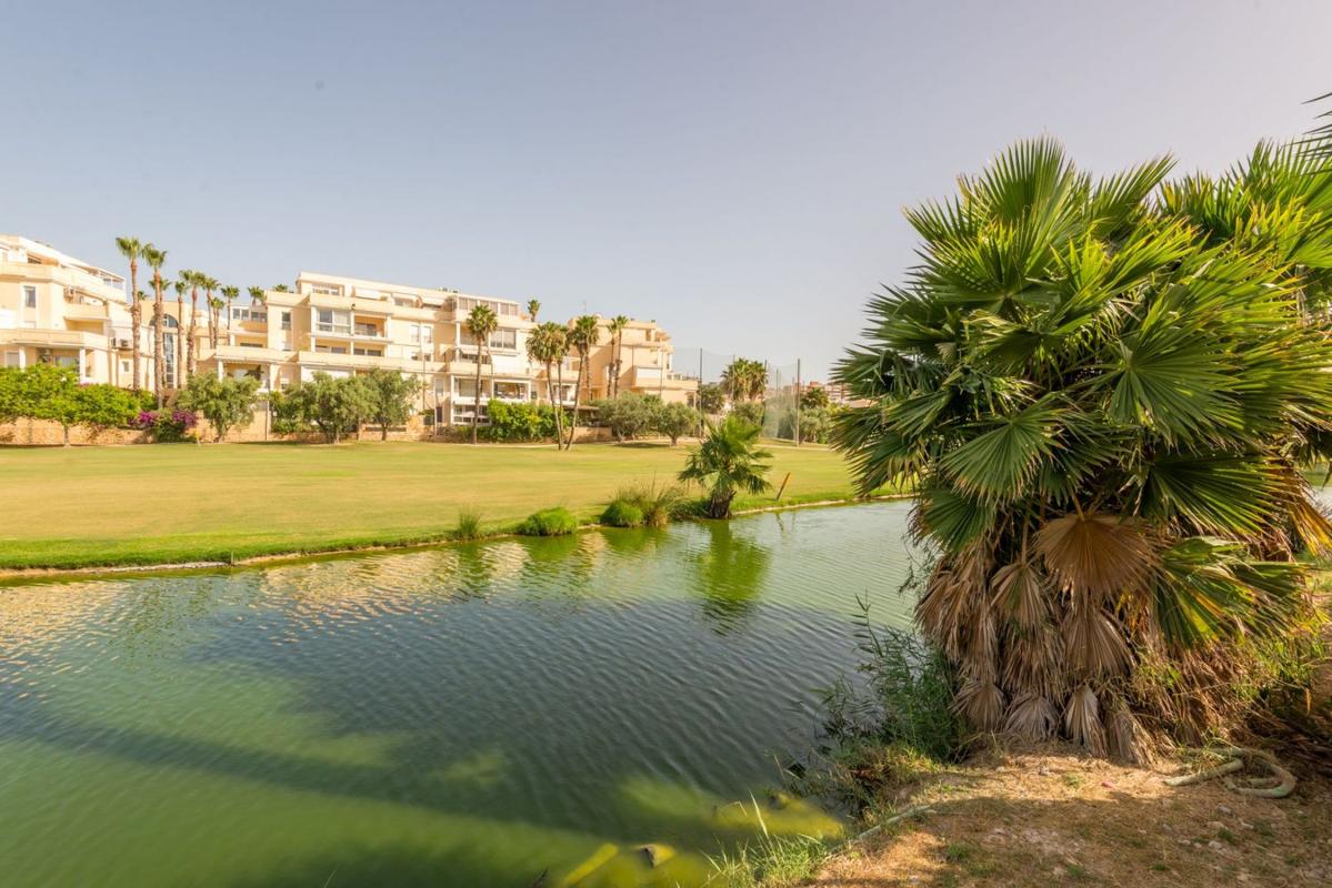 Sprzedaż szeregowego domku w Chalet adosado en Alicante Golf, Alicante / Alacant , Alicante / Alacant photo 2
