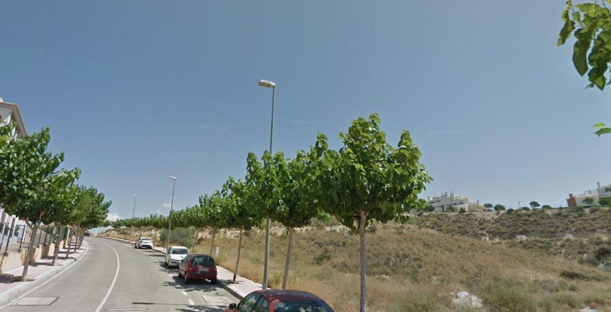 Działka na sprzedaż w Mutxamel, Alicante photo 5
