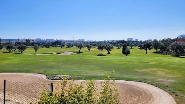 Chalet pareado en Av Pintor Perez Gil, Alicante Golf, Alicante / Alacant photo 4