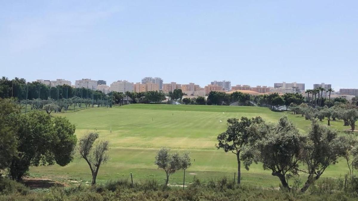 Properties for sale and rent in Spain photo 1