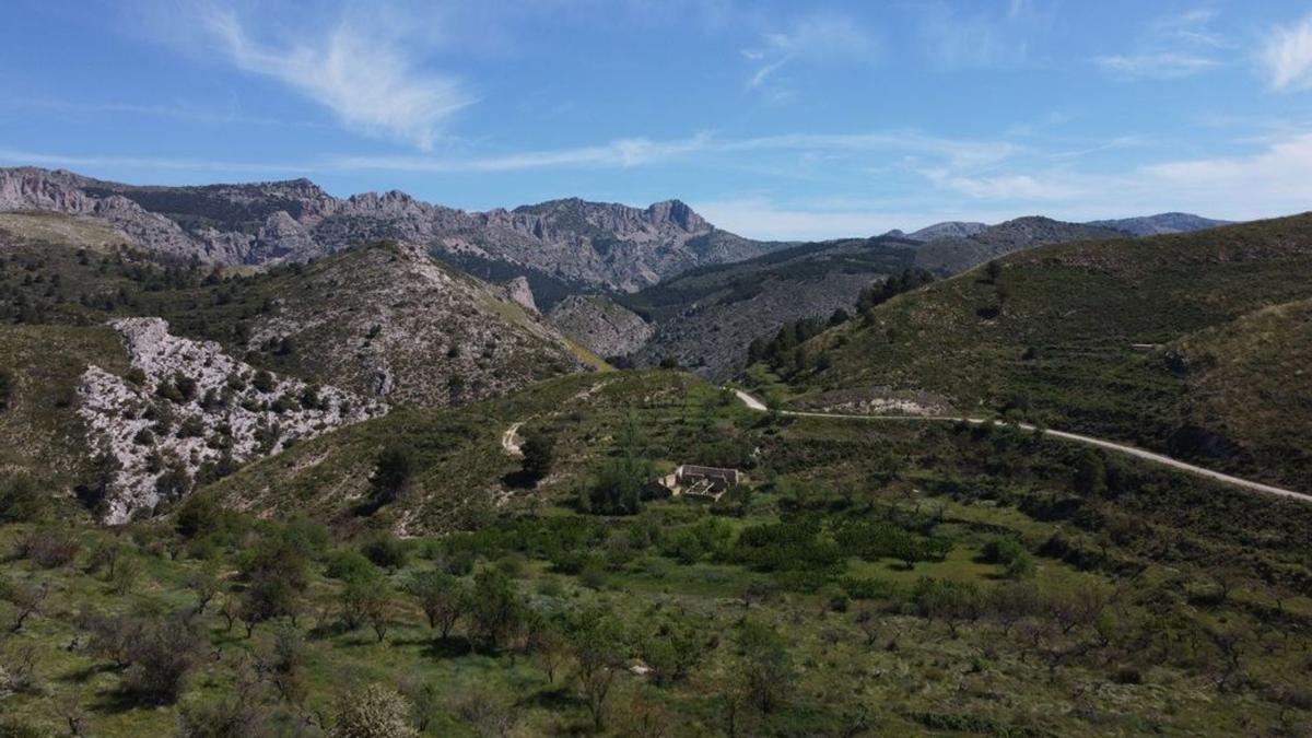 Propiedades en venta y alquiler en España photo 4