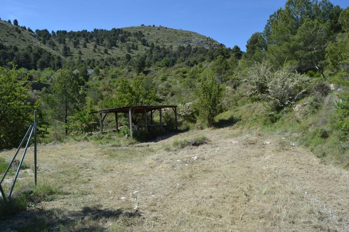 Propiedades en venta y alquiler en España photo 5