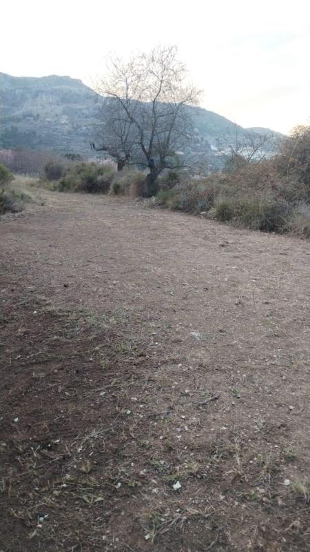 Продажа загородного участка в Finca rústica en Confrides , Конфридес photo 4