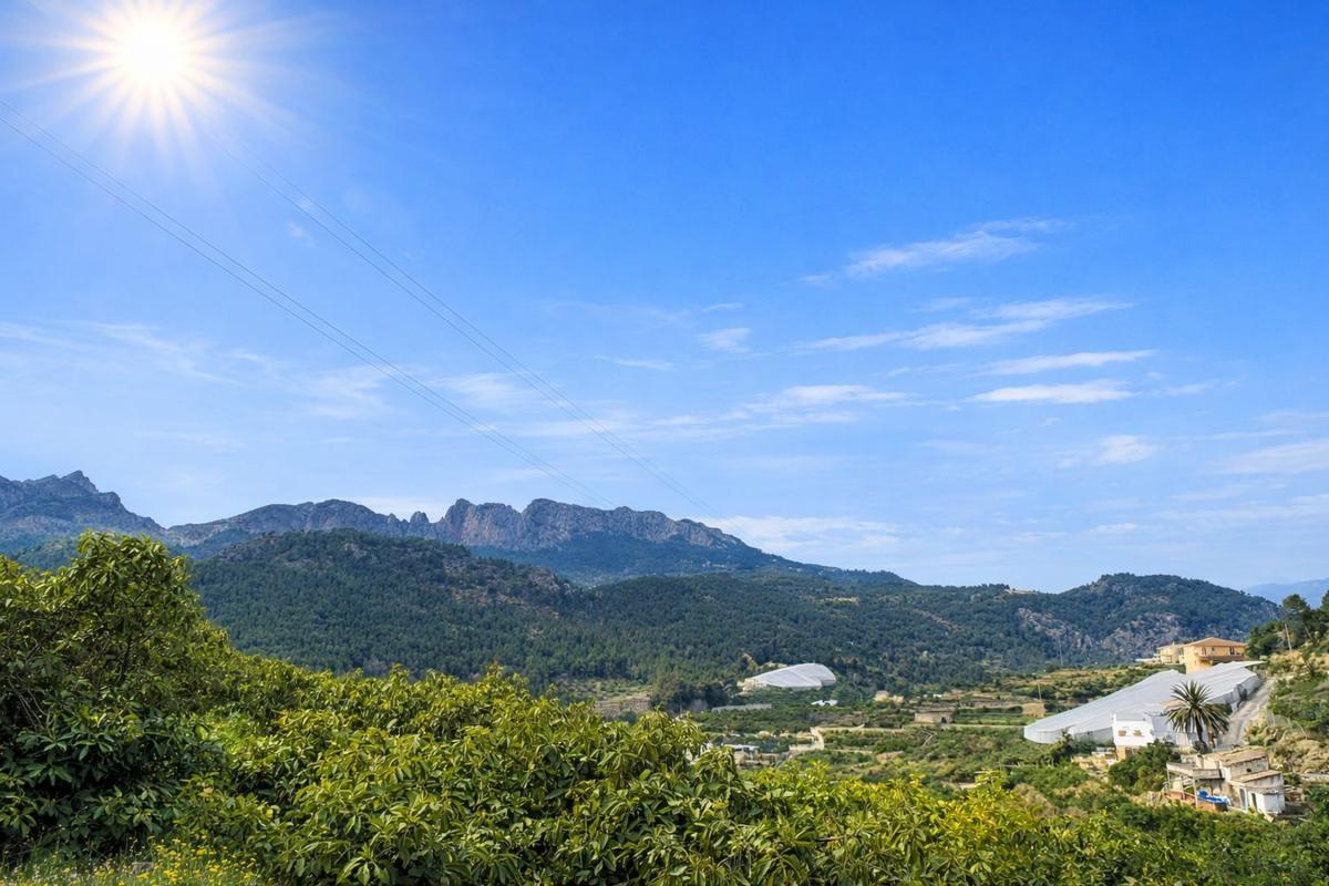 Sprzedaż działki rolnej w  Finca rústica en Partida l'Arjova, Callosa d'En Sarria , Callosa d'En Sarria photo 5