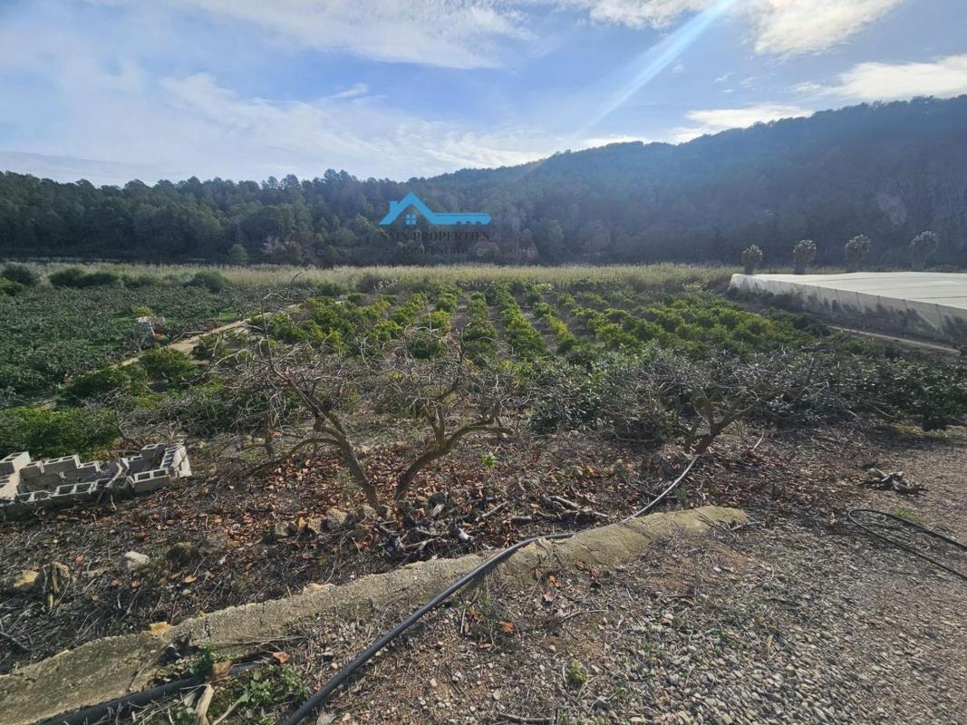 Sprzedaż działki rolnej w Finca rústica en Callosa d'En Sarria , Callosa d'En Sarria photo 1