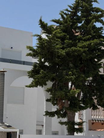 Chalet adosado en Luxemburgo, 2, Nueva Torrevieja, Torrevieja thumbnail 2