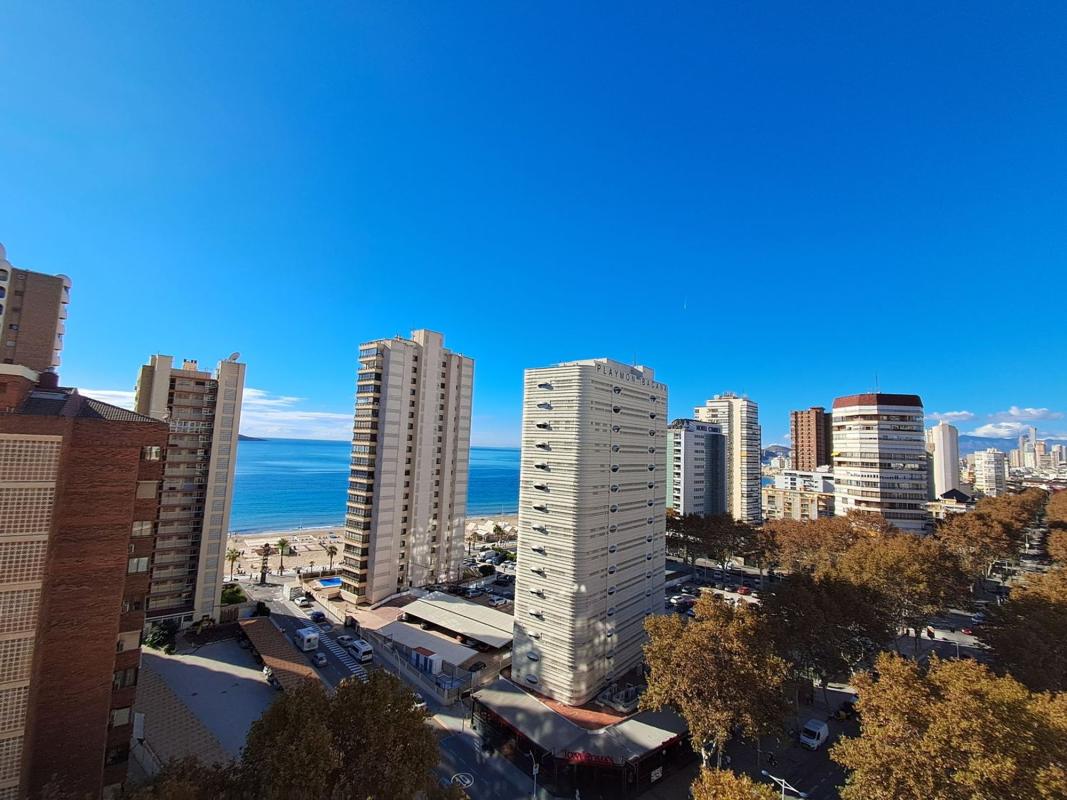 Venta de piso en Piso en Avenida del Mediterráneo, 17, Playa de Levante, Benidorm, Benidorm
photo 3
