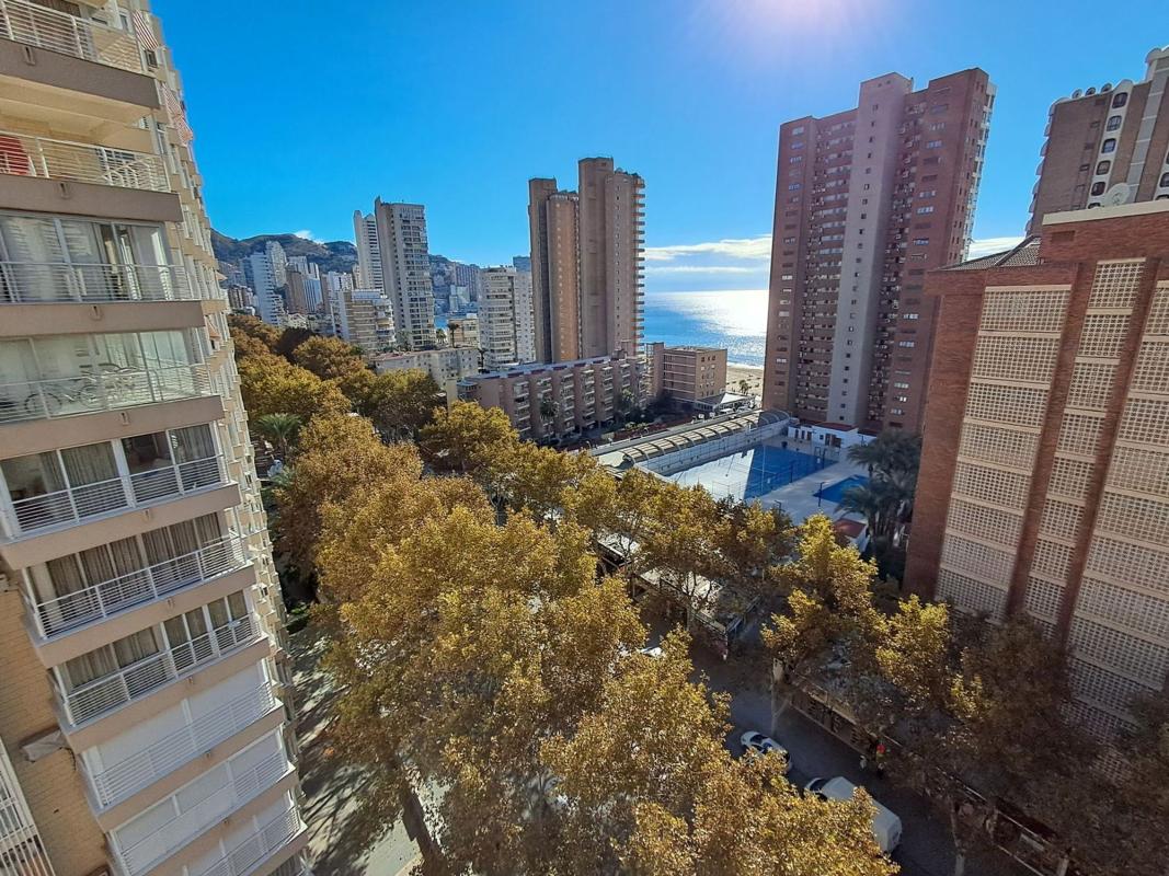 Venta de piso en Piso en Avenida del Mediterráneo, 17, Playa de Levante, Benidorm, Benidorm
photo 5
