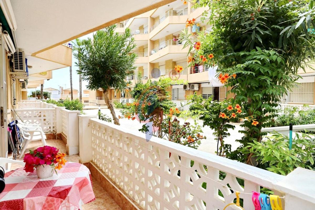 Sale of apartment in Piso en Calle Argentina, 60, Guardamar Playa, Guardamar del Segura, Guardamar del Segura
 photo 5