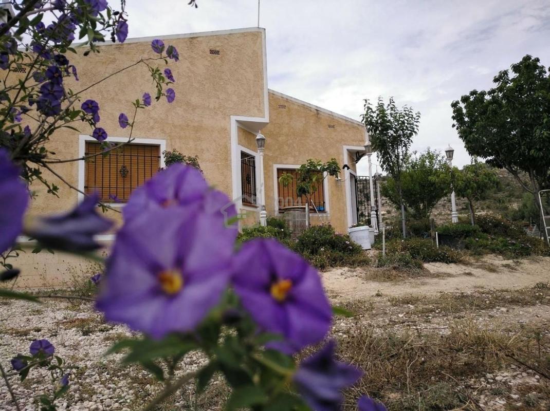Propiedades en venta y alquiler en España photo 2