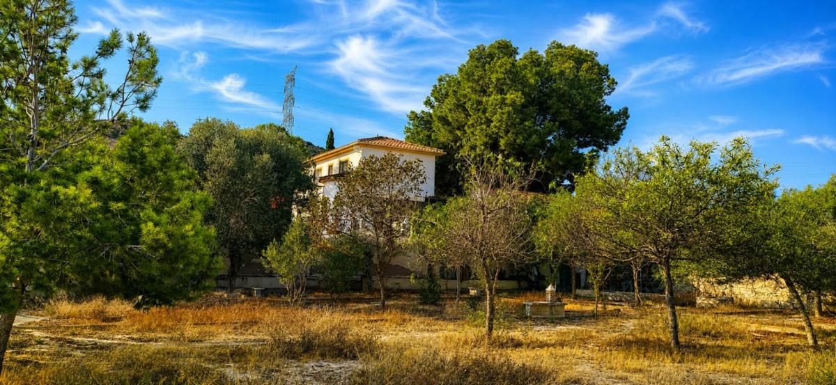 Properties for sale and rent in Spain photo 3