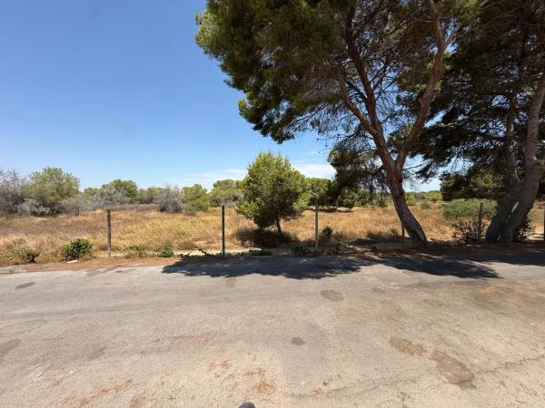 Mieszkanie na sprzedaż w Piso en Calle Murillo, La Siesta - El Salado - Torreta, Torrevieja, Torrevieja thumbnail 3