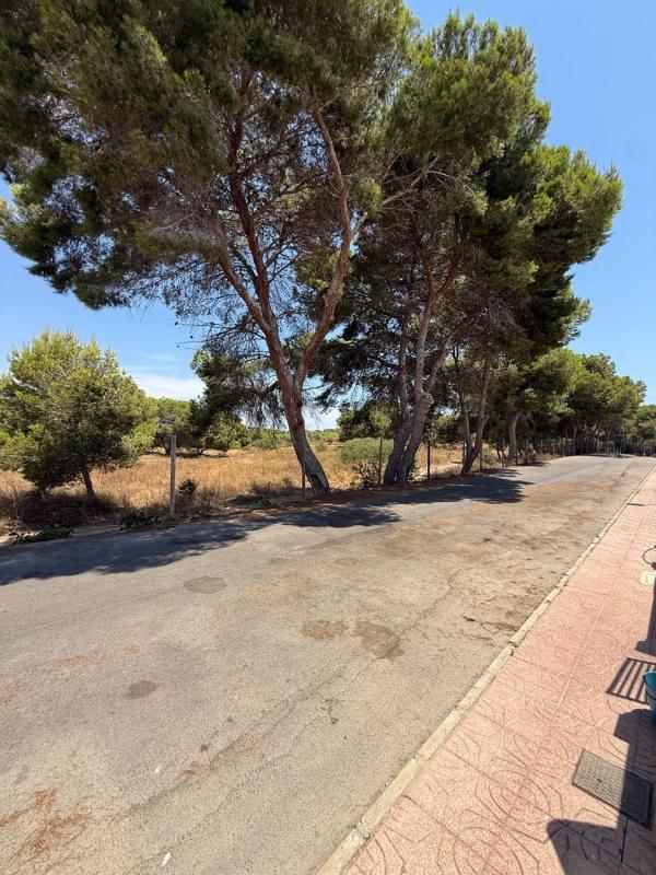 Venta de piso en Piso en Calle Murillo, La Siesta - El Salado - Torreta, Torrevieja, Torrevieja
photo 5