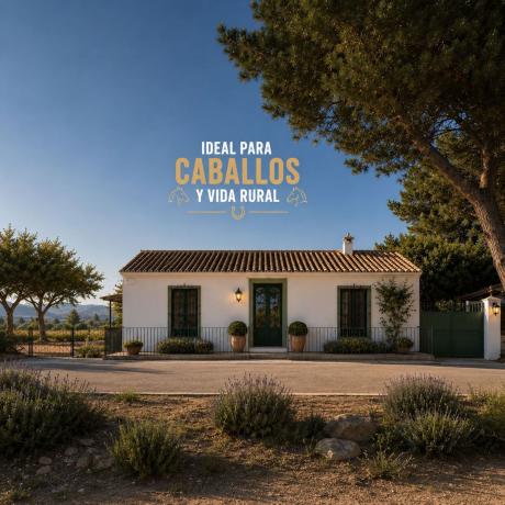 Casa rural en La murada, 12, Molins-Campaneta-San Bartolomé, Orihuela photo 1