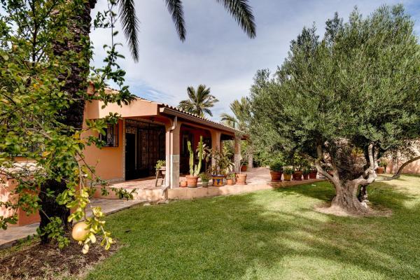 Casa o chalet independiente en Calle Huelma, La Siesta - El Salado - Torreta, Torrevieja photo 3