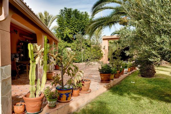 Casa o chalet independiente en Calle Huelma, La Siesta - El Salado - Torreta, Torrevieja photo 4