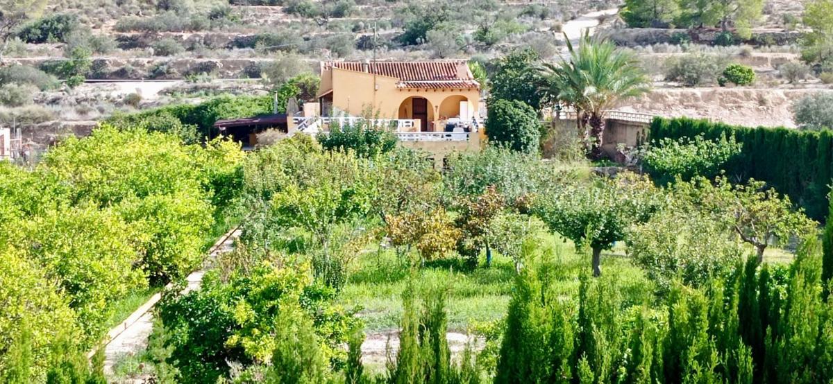 Properties for sale and rent in Spain photo 2