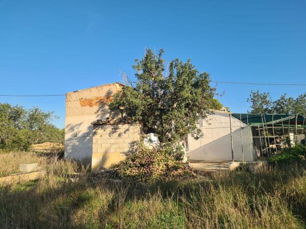 Продаётся загородный участок в  Finca rústica en Pueblo Levante, Benidorm , Бенидорм photo 1