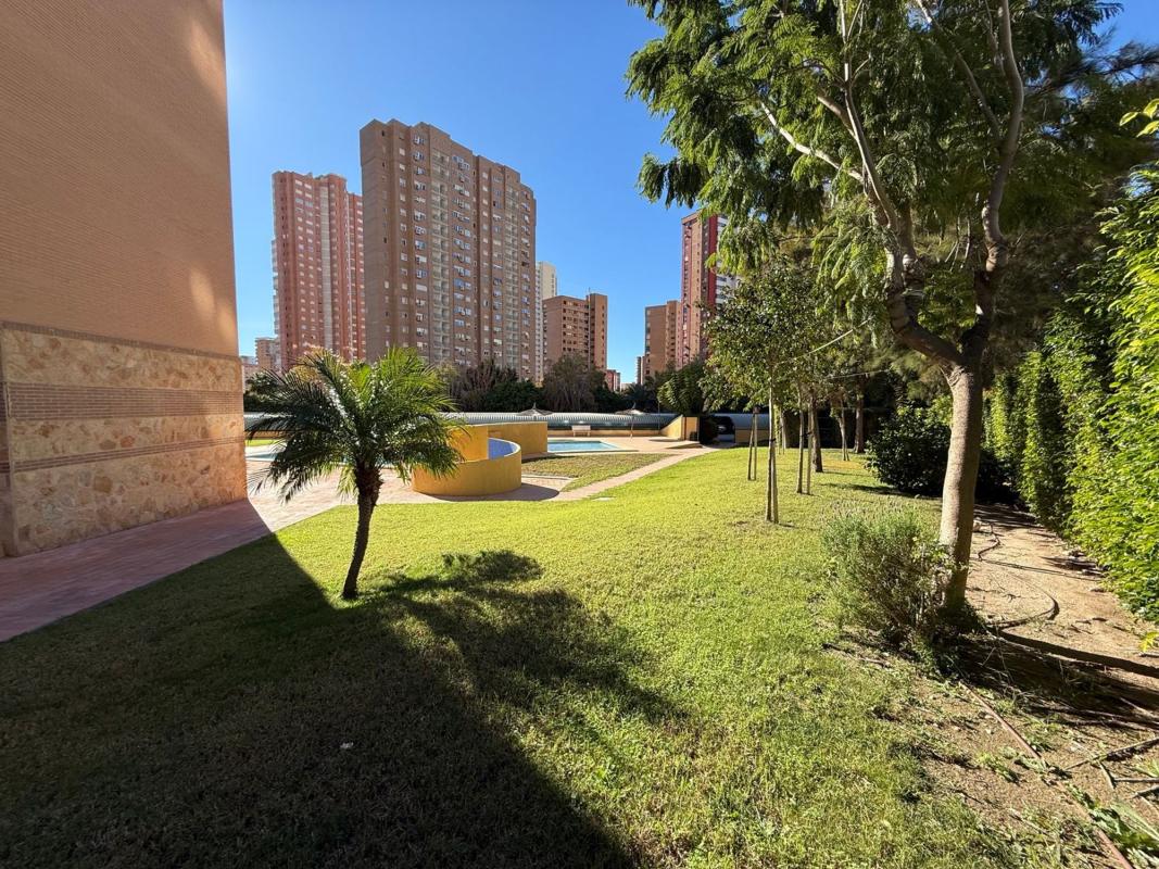 Sprzedaż mieszkania w Piso en Avenida del Municipi, Pueblo Levante, Benidorm, Benidorm
 photo 5