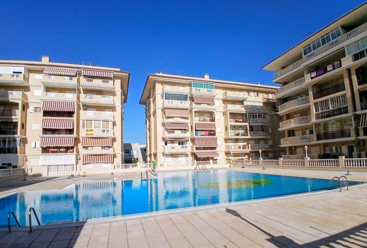 Sale of apartment in Piso en Los Europeos, Torrevieja, Torrevieja
photo 1