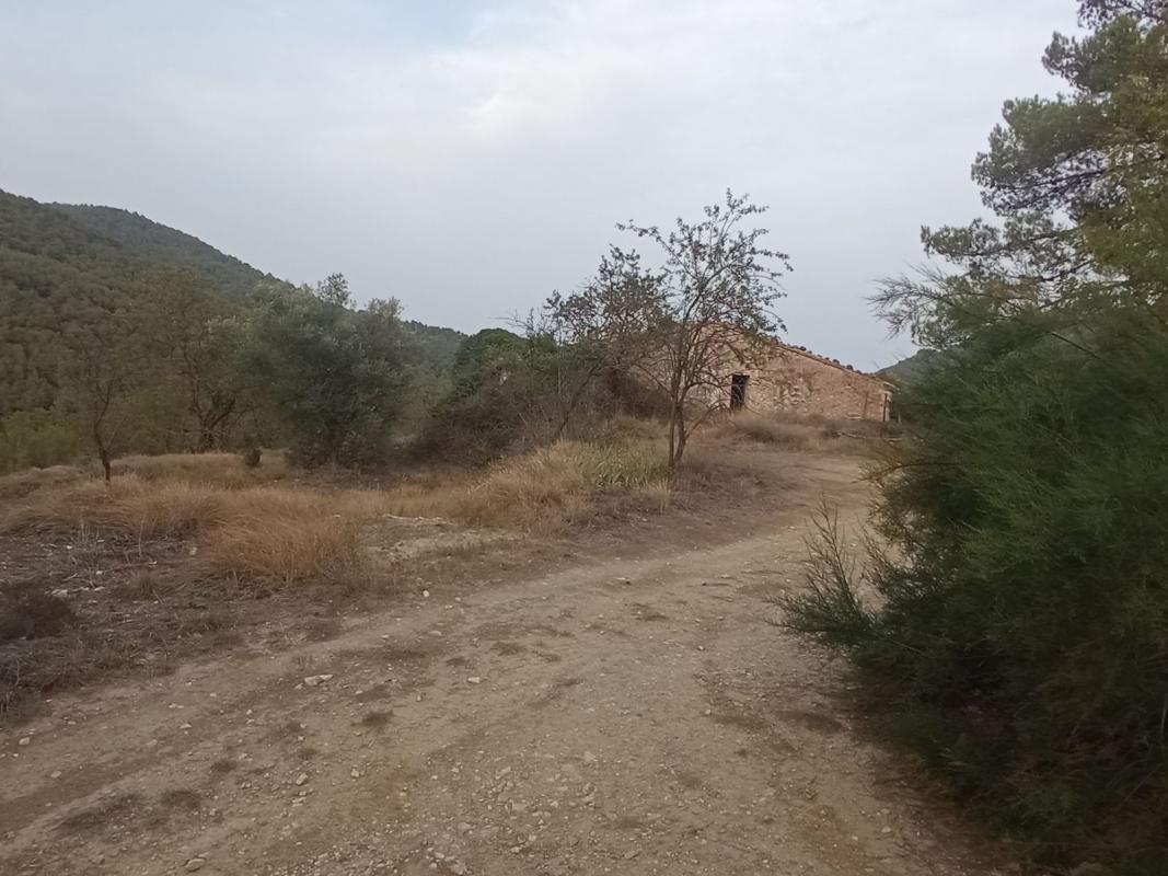 Properties for sale and rent in Spain photo 1