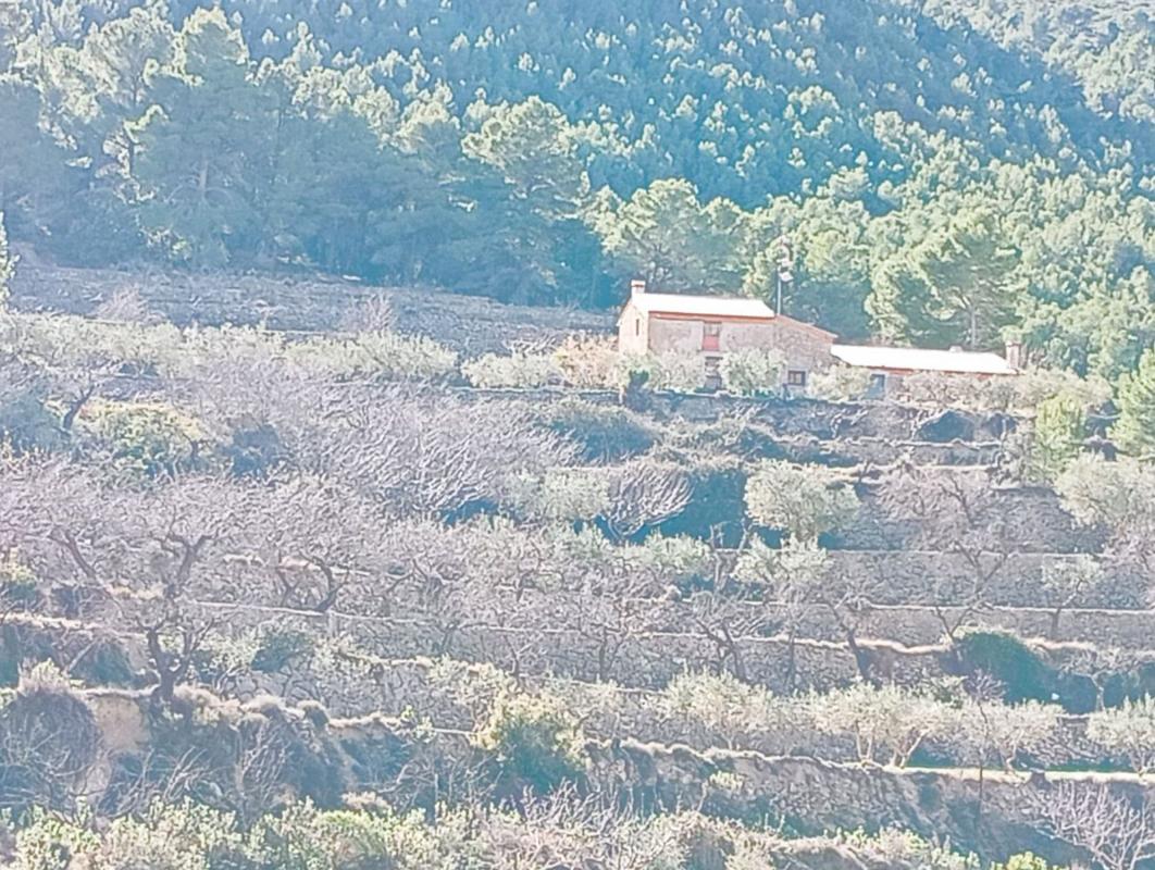Продажа загородного участка в  Finca rústica en Poligono, 1, Sella , Селла photo 4