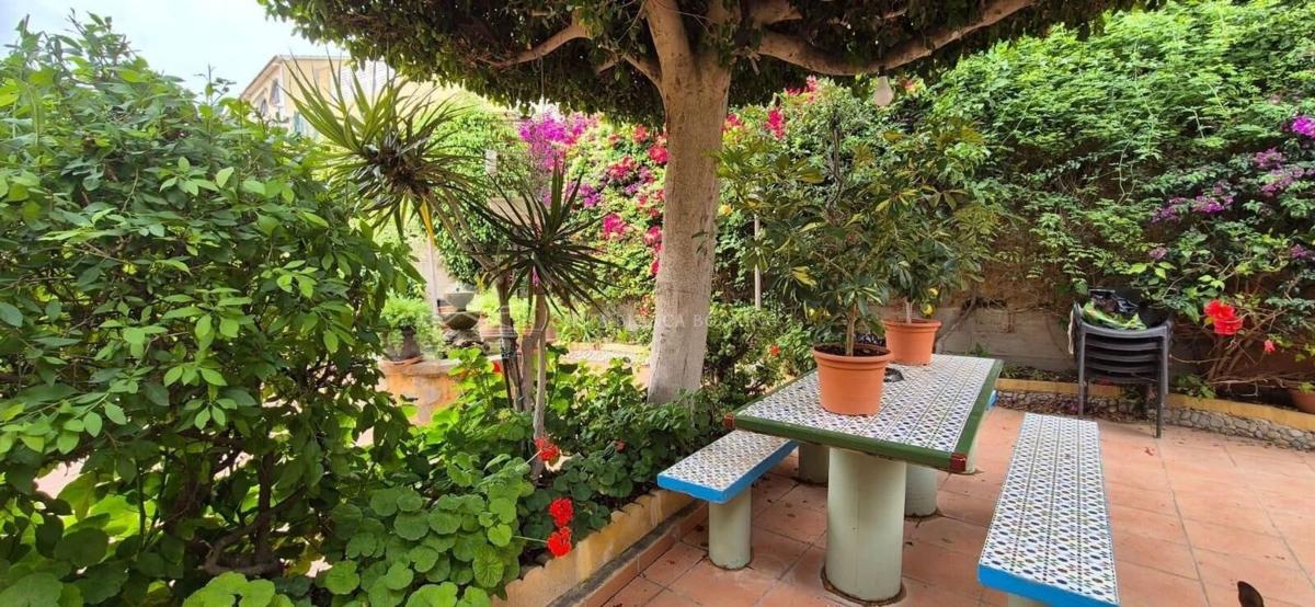 Properties for sale and rent in Spain photo 3