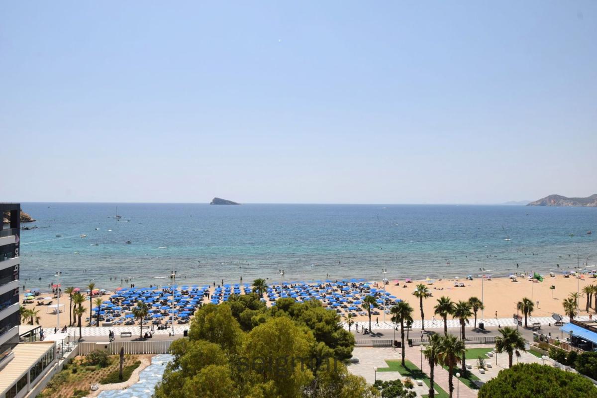 Sprzedaż mieszkania w Piso en Avenida de Madrid, Playa de Levante, Benidorm, Benidorm
photo 1