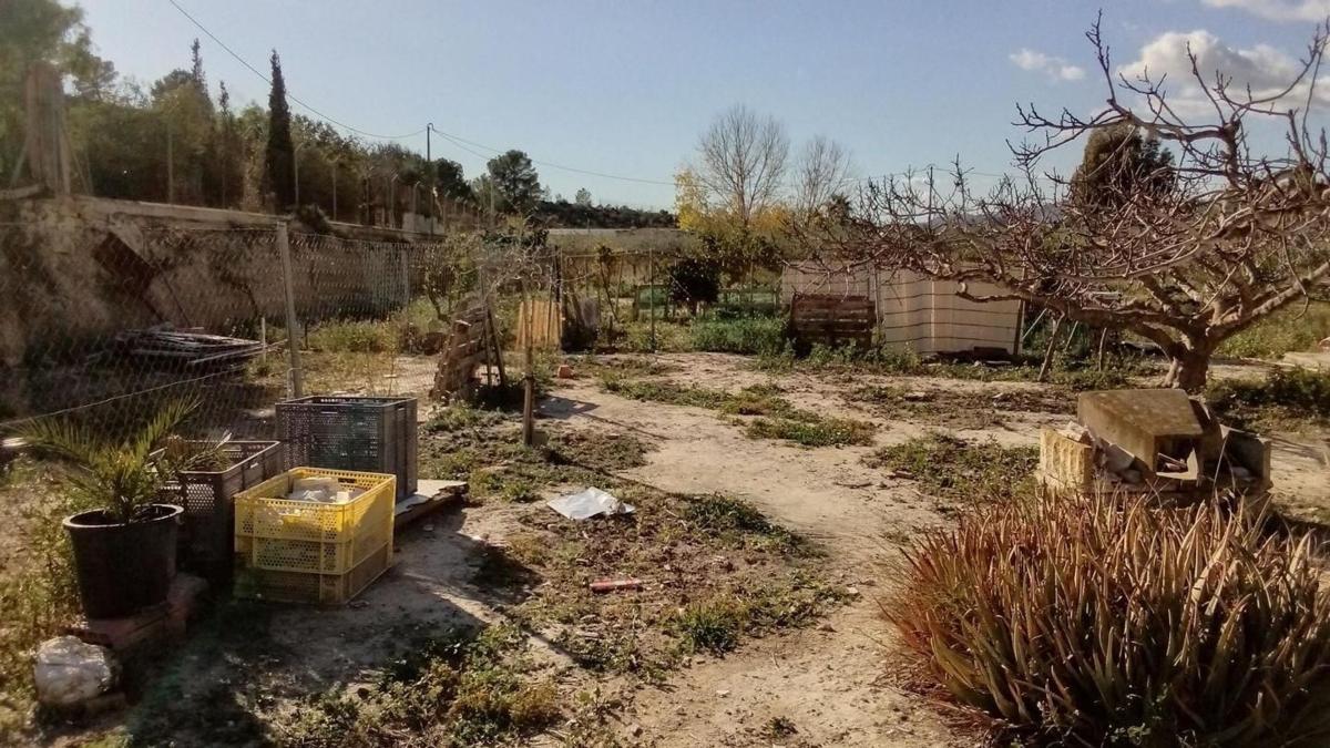 Properties for sale and rent in Spain photo 1