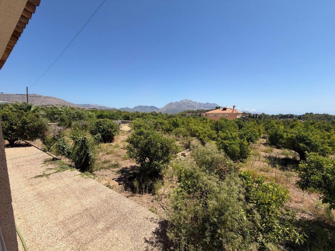 Properties for sale and rent in Spain photo 5