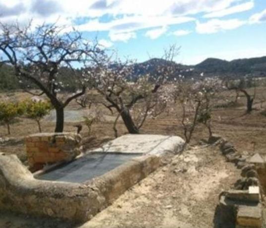 Finca rústica en venta en Finca rústica en Calle senias s/n, Relleu , Relleu photo 1