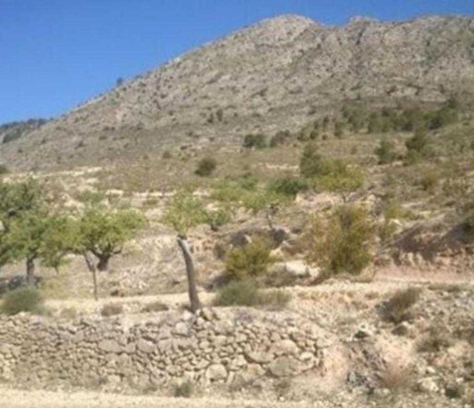 Sale of rural property in Finca rústica en Calle senias s/n, Relleu , Relleu photo 2