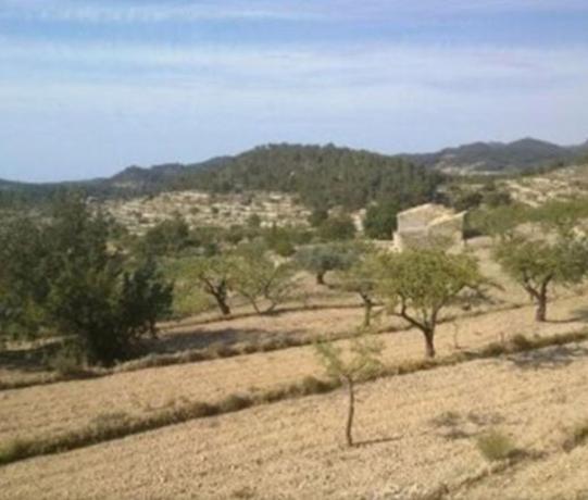 Finca rústica en venta en Finca rústica en Calle senias s/n, Relleu , Relleu thumbnail 2
