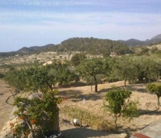 Finca rústica en venta en  Finca rústica en Calle senias s/n, Relleu , Relleu photo 4