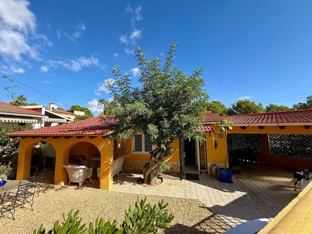 Properties for sale and rent in Spain photo 3