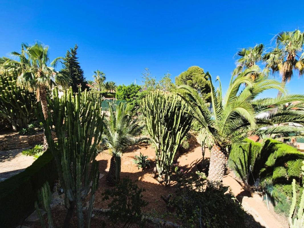 Properties for sale and rent in Spain photo 2