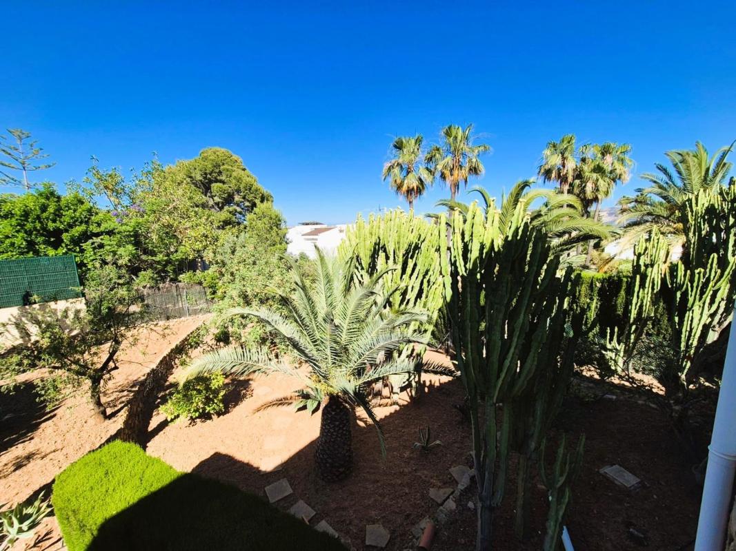 Properties for sale and rent in Spain photo 3
