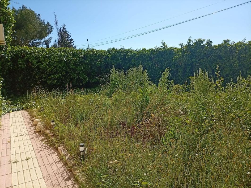 Properties for sale and rent in Spain photo 4