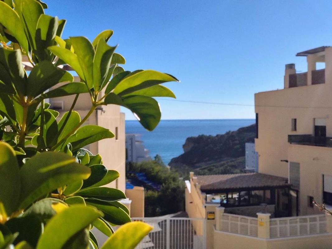 Properties for sale and rent in Spain photo 4