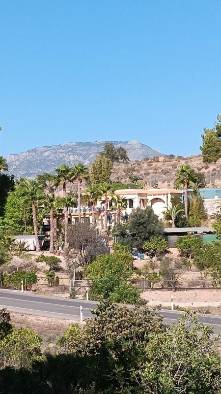 Properties for sale and rent in Spain photo 5
