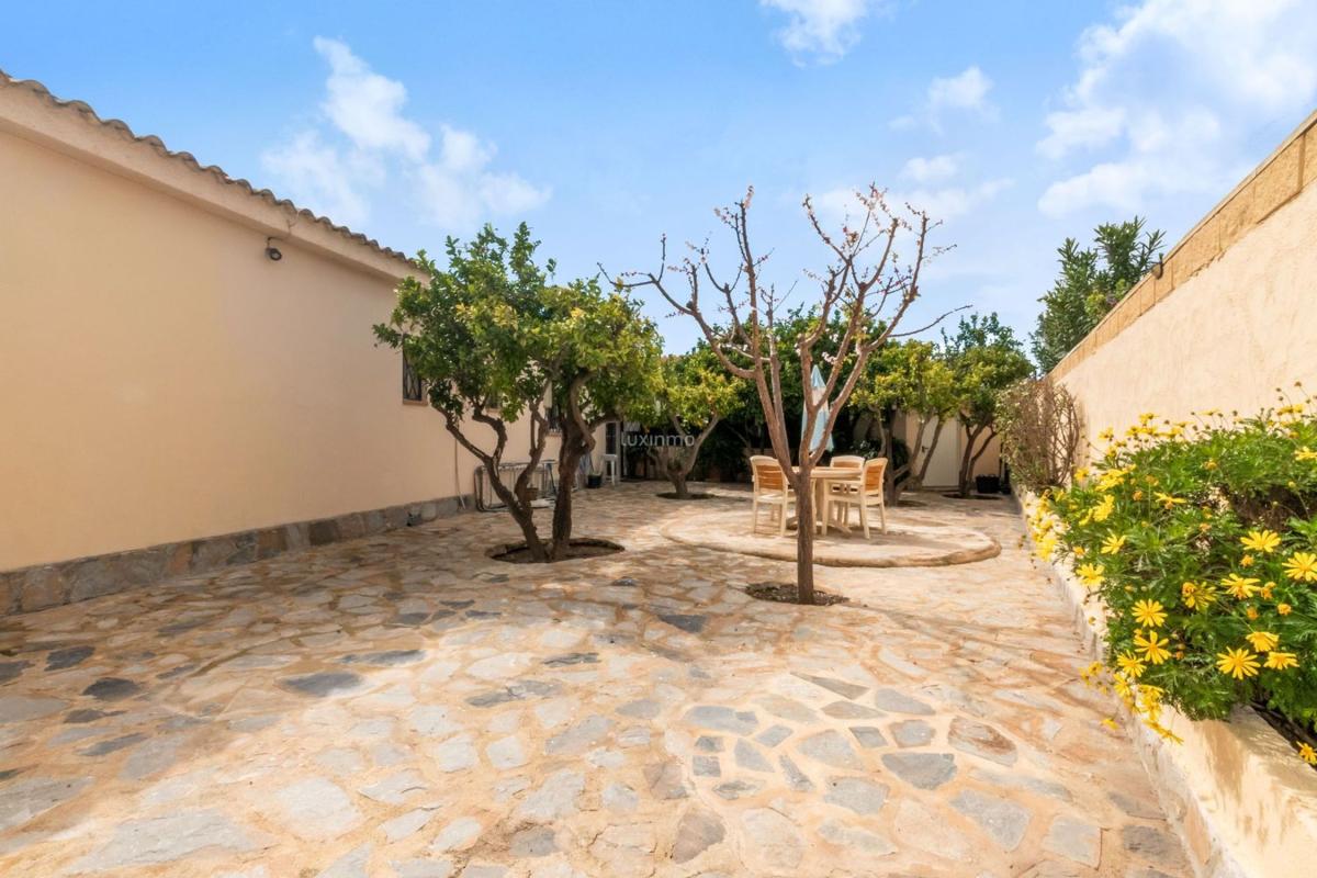 Properties for sale and rent in Spain photo 3