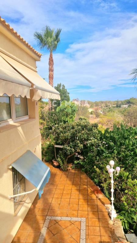 Properties for sale and rent in Spain photo 1