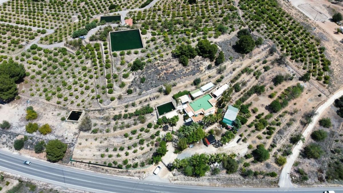 Properties for sale and rent in Spain photo 2