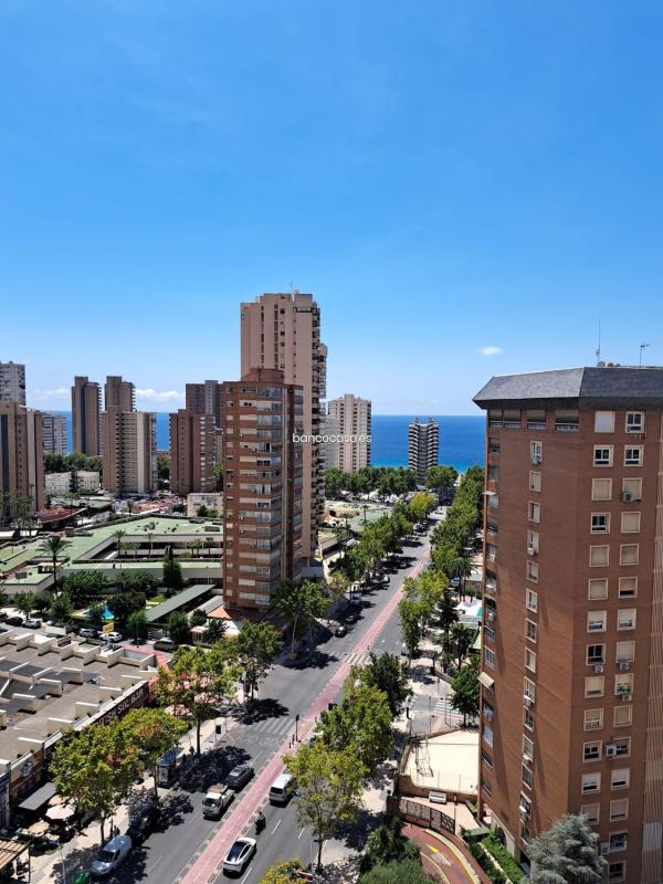 Sprzedaż mieszkania w Piso en Avenida de Europa, Pueblo Levante, Benidorm, Benidorm
photo 1