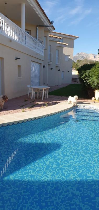 Properties for sale and rent in Spain photo 2