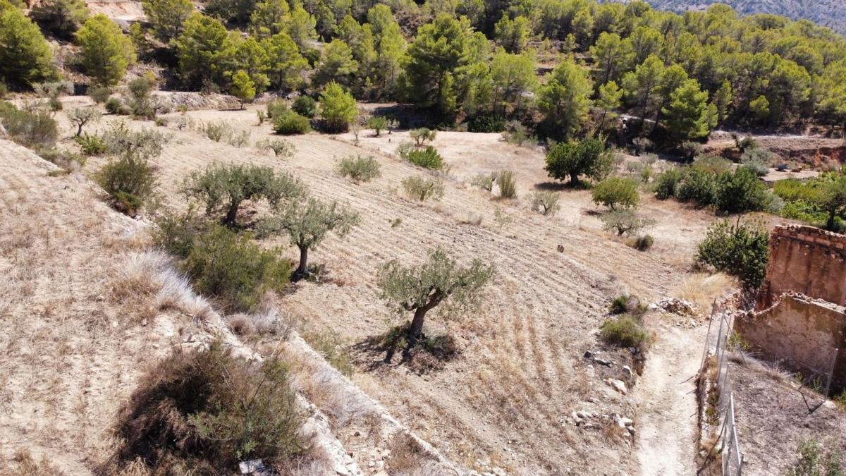 Venta de finca rústica en  Finca rústica en Polígono Alhambra.Sector 17, Finestrat Pueblo, Finestrat , Finestrat photo 5