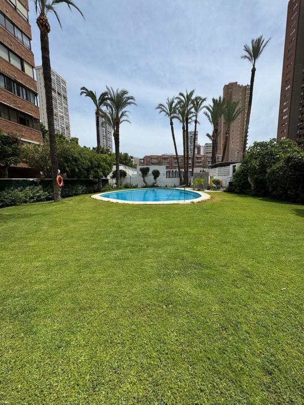 Sale of apartment in Piso en Avenida de Mallorca, Playa de Levante, Benidorm, Benidorm
 photo 3