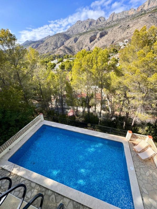 Properties for sale and rent in Spain photo 4